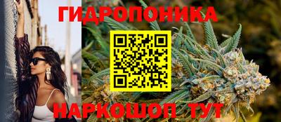 a pvp Будённовск