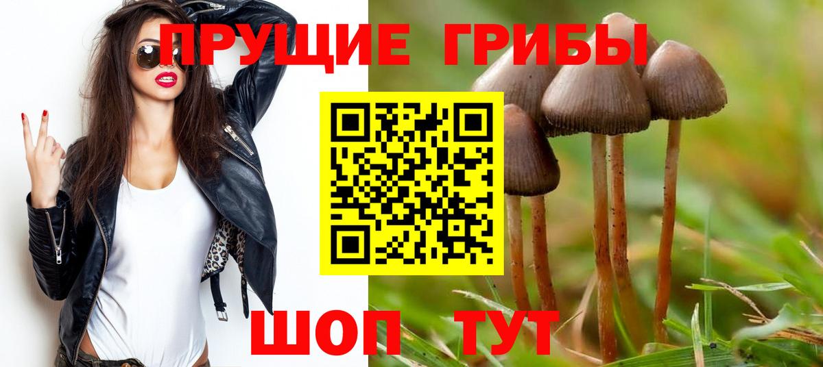 Прохладный  Галлюциногенные грибы Cubensis  Вход с VPN 